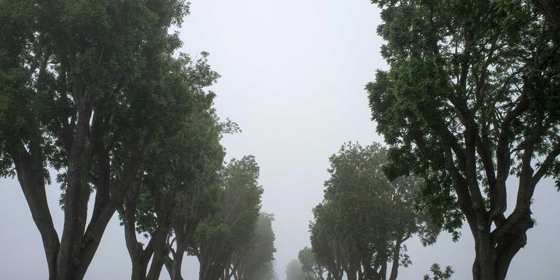 HR Consulting视角下的人力资源成本优化：如何精准测算人才投资对财务业绩的ROI贡献