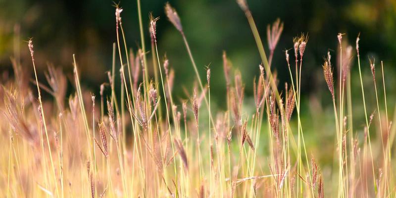 HR Consulting视角下的灵活用工策略：如何通过Talent Management与Recruitment优化兼职工、自由职业者与外包管理