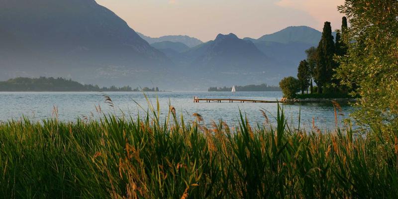 HR Consulting视角下的零工经济：整合、合规与激励的弹性劳动力管理策略