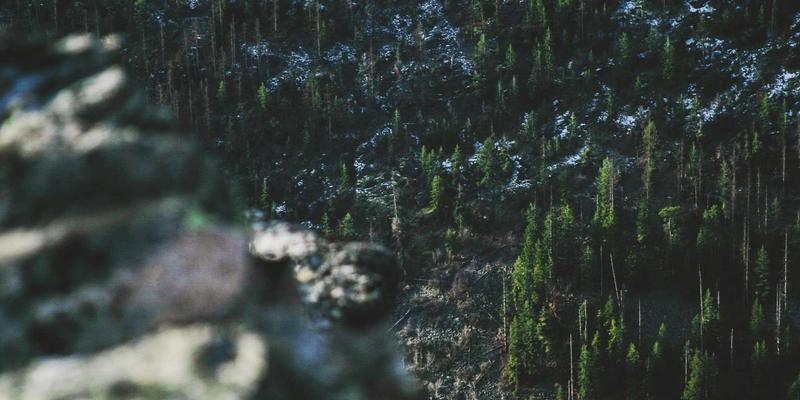 HR数字化转型中的变革管理：如何克服阻力并成功推动Recruitment与Talent Services的转型