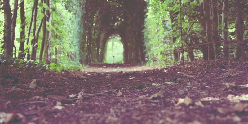 HR数据隐私与安全：在招聘、人才服务与合规之间寻找平衡点