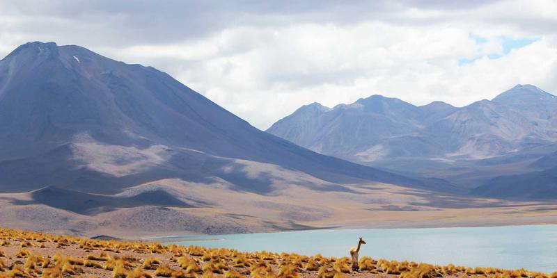 人力资源合规审计：如何系统性地识别与规避用工法律风险