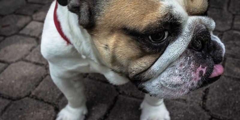 人力资源合规风险管理：最新劳动法规解读与企业招聘实践应对指南