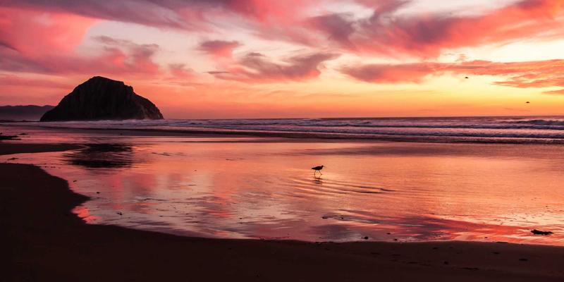 人力资源技术栈评估与整合：如何选择适合企业的HRIS、ATS与人才管理平台