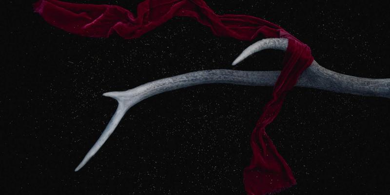 从人才管理到人才服务:现代人力资源咨询的战略转型