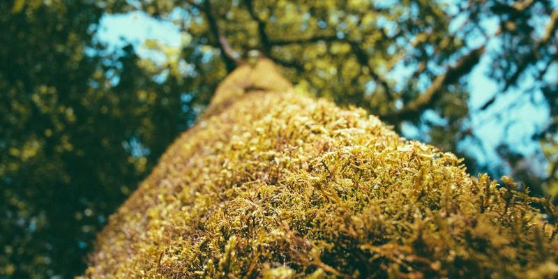 从传统HR到战略伙伴:人才服务与劳动力解决方案如何重塑现代人力资源