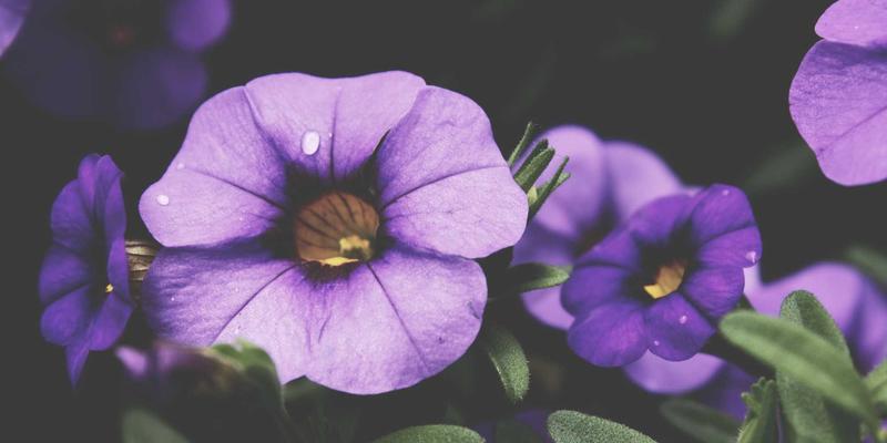 从入职到离职：优化员工全生命周期体验的五大关键触点与人才管理策略