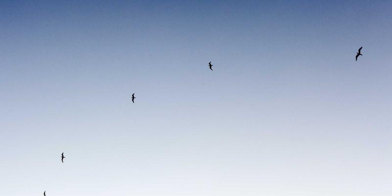 从执行到战略：人力资源业务伙伴如何通过人才服务与人才管理创造商业价值