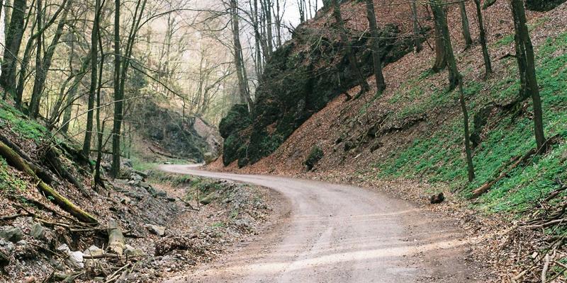 从直觉到洞见：HR Analytics如何重塑人才管理与战略决策