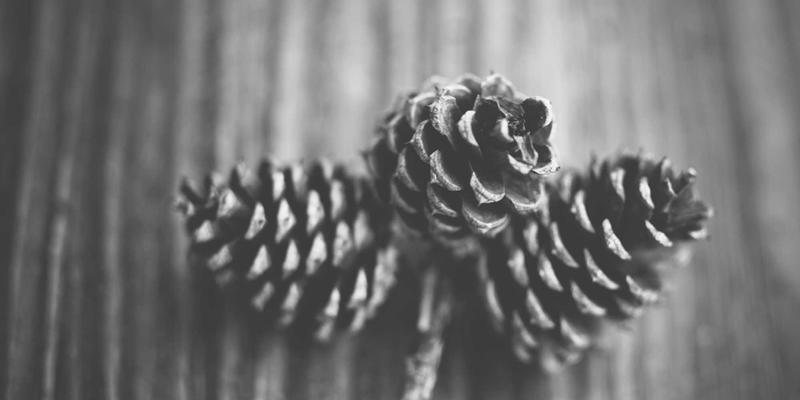 从行政支持到战略核心：人力资源数字化转型如何重塑Talent Services与HR Consulting