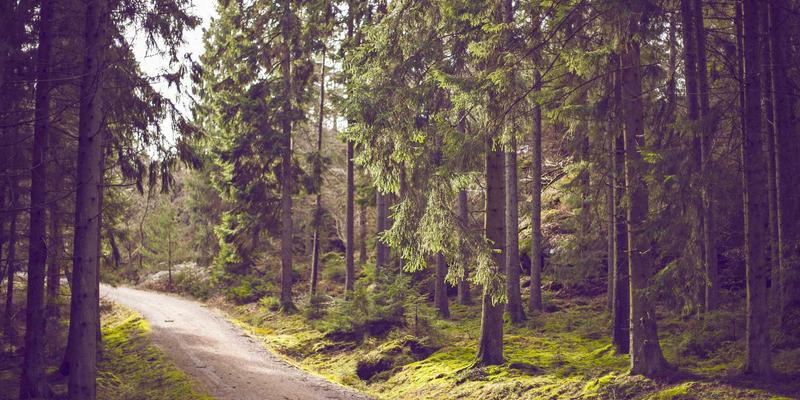 优化员工生命周期体验（ELCX）：整合Talent Management与Workforce Solutions的战略蓝图