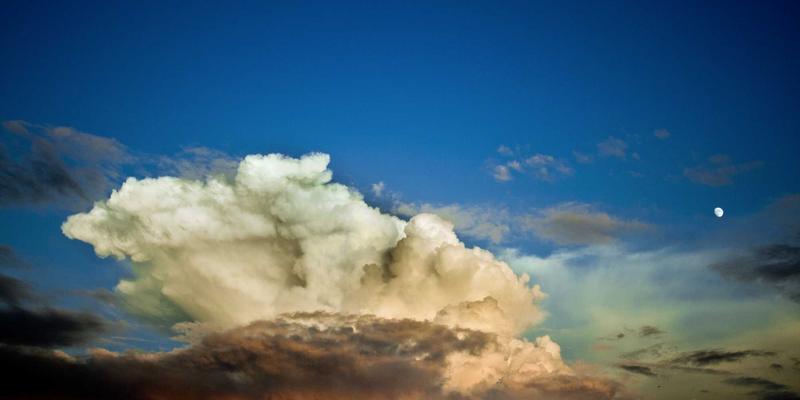 员工声音与反馈机制：如何通过Workforce Solutions与Talent Services驱动组织变革