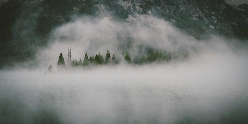 组织发展与变革管理：如何通过战略人才服务重塑企业人才架构与文化