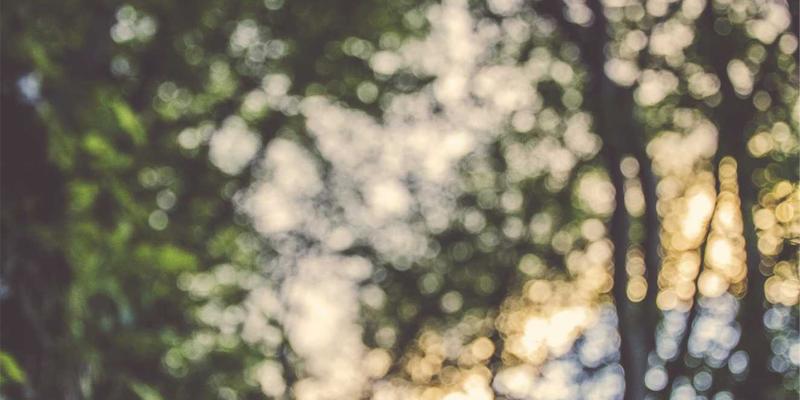 超越传统招聘:现代人力资源如何通过劳动力解决方案驱动组织成功