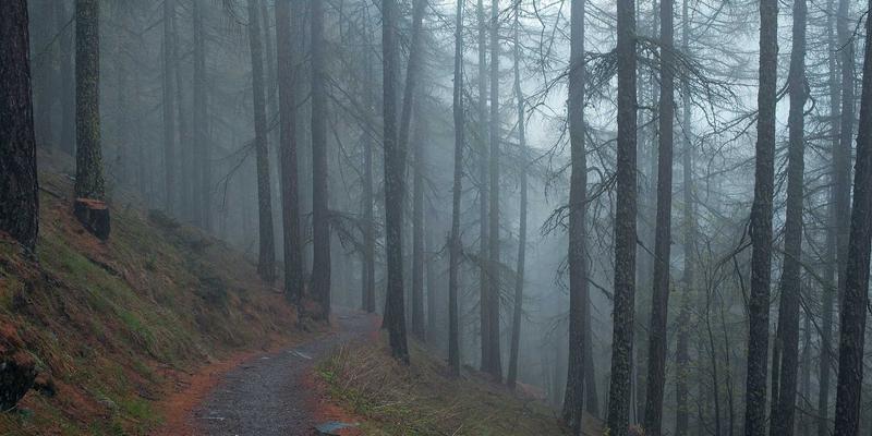 跨文化团队领导力：HR咨询视角下的包容性管理与人才战略